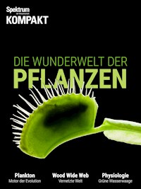 Spektrum Kompakt - Die Wunderwelt der Pflanzen - Spektrum der Wissenschaft - E-Book
