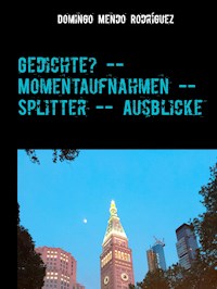 Gedichte? -- Momentaufnahmen -- Splitter -- Ausblicke - Domingo Mendo Rodríguez - E-Book