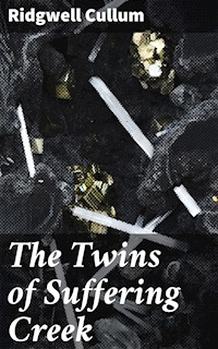 The Twins of Suffering Creek - Ridgwell Cullum - E-Book