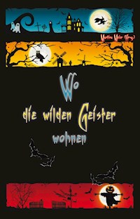 Wo die wilden Geister wohnen - Martina Meier - E-Book
