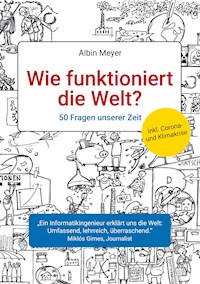 Wie funktioniert die Welt? - Albin Meyer - E-Book