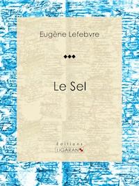 Le sel - Ligaran - E-Book