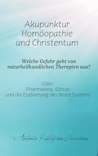 Akupunktur, Homöopathie und Christentum - Welche Gefahr geht von naturheilkundlichen Therapien aus? - Antonia Katharina Tessnow - E-Book