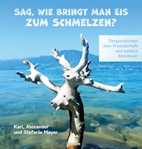 Sag, wie bringt man Eis zum Schmelzen? - Karl Mayer - E-Book