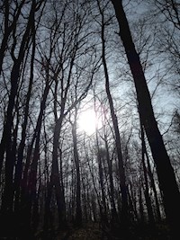 Vertretung für Santa Claus - xZorax - E-Book