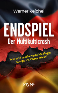 Endspiel – Der Multikulticrash - Werner Reichel - E-Book