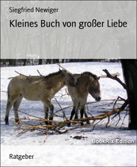Kleines Buch von großer Liebe - Siegfried Newiger - E-Book