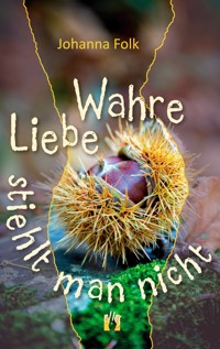 Wahre Liebe stiehlt man nicht - Johanna Folk - E-Book