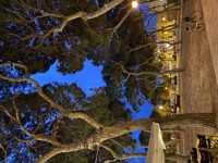 Poesie von Anni Taint - Anni Taint - E-Book