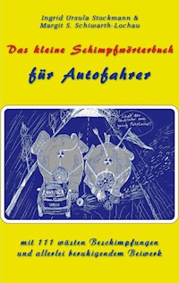 Das kleine Schimpfwörterbuch für Autofahrer - Ingrid Ursula Stockmann - E-Book