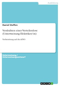 Verdrahten einer Verteilerdose (Unterweisung Elektriker/-in) - Daniel Steffen - E-Book