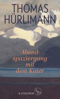 Abendspaziergang mit dem Kater - Thomas Hürlimann - E-Book