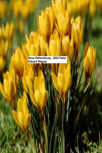 Neue Weltordnung - 2024 Feber - Eduard Wagner - E-Book