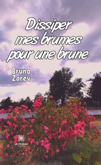 Dissiper mes brumes pour une brune - Bruno Zarev - E-Book