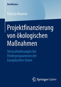 Projektfinanzierung von ökologischen Maßnahmen - Patricia Brunner - E-Book