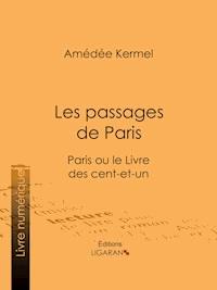 Les passages de Paris - Amédée Kermel - E-Book