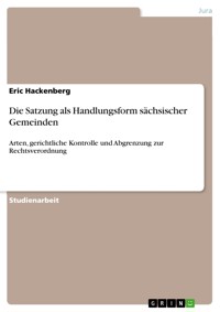 Die Satzung als Handlungsform sächsischer Gemeinden - Eric Hackenberg - E-Book