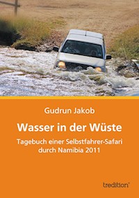 Wasser in der Wüste - Gudrun Jakob - E-Book