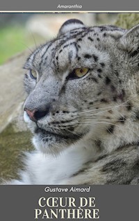 Coeur de Panthère - Aimard Gustave - E-Book