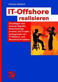 IT-Offshore realisieren - Andreas Gadatsch - E-Book