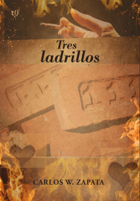 Tres ladrillos - Carlos Walter Zapata - E-Book