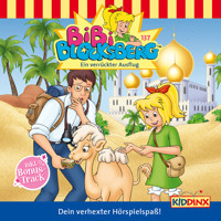 Bibi Blocksberg, Folge 137: Ein verrückter Ausflug - Doris Riedl - Hörbuch
