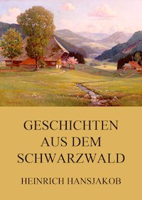 Geschichten aus dem Schwarzwald - Heinrich Hansjakob - E-Book