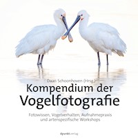 Kompendium der Vogelfotografie - Daan Schoonhoven - E-Book