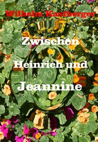 Zwischen Heinrich und Jeanniene - Wilhelm Kastberger - E-Book