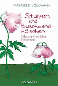 Stulpen und Buschwindhöschen - Gabriele Volkmann - E-Book