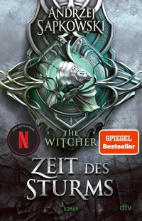 Zeit des Sturms - Andrzej Sapkowski - E-Book