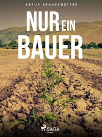 Nur ein Bauer - Artur Brausewetter - E-Book