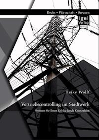 Vertriebscontrolling im Stadtwerk: Steuern Sie Ihren Erfolg durch Kennzahlen - Heike Wolff - E-Book