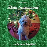 Klein Sausewind - Paola Krauss - E-Book