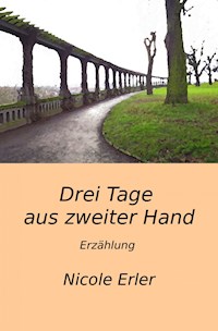 Drei Tage aus zweiter Hand - Nicole Erler - E-Book