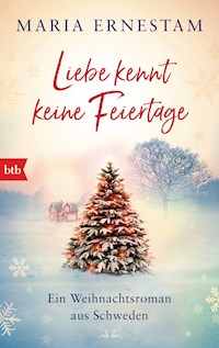Liebe kennt keine Feiertage - Maria Ernestam - E-Book