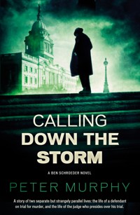 Calling Down the Storm - Peter Murphy - E-Book