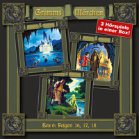 Grimms Märchen, Box 6: Folgen 16, 17, 18 - Brüder Grimm - Hörbuch
