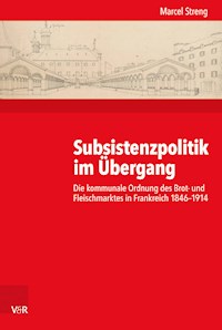 Subsistenzpolitik im Übergang - Marcel Streng - E-Book
