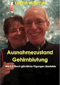 Ausnahmezustand Gehirnblutung - Linda Martin - E-Book