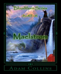Maelstrom - Adam Collins - E-Book