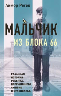 Мальчик из Блока 66. Реальная история ребенка, пережившего Аушвиц и Бухенвальд - Лимор Регев - E-Book