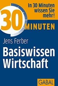30 Minuten Basiswissen Wirtschaft - Jens Ferber - E-Book