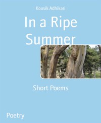 In a Ripe Summer - Kousik Adhikari - E-Book