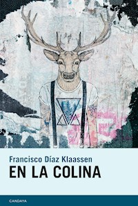 En la colina - Francisco Díaz Klaassen - E-Book