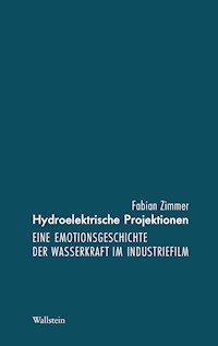 Hydroelektrische Projektionen - Fabian Zimmer - E-Book