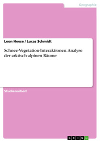 Schnee-Vegetation-Interaktionen. Analyse der arktisch-alpinen Räume - Leon Heese - E-Book