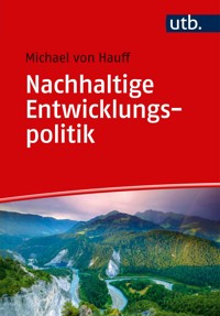 Nachhaltige Entwicklungspolitik - Michael von Hauff - E-Book
