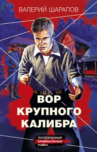 Вор крупного калибра - Valeriy Sharapov - E-Book