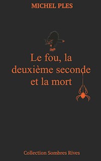 Le fou, la deuxième seconde et la mort - Michel Plès - E-Book